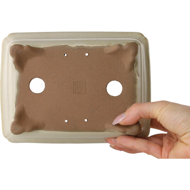 Rectangular off-white bonsai pot by Shibakatsu - 190 x 142 x 70 mm