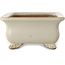 Maceta rectangular para bonsái de color blanco roto de Shibakatsu - 190 x 142 x 70 mm