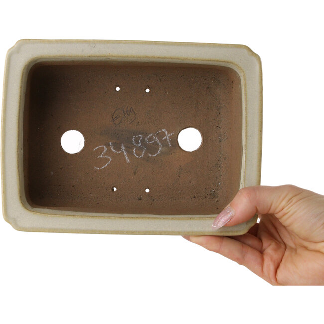 Pot à bonsaï rectangulaire blanc cassé de Shibakatsu - 190 x 142 x 70 mm