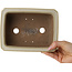 Pot à bonsaï rectangulaire blanc cassé de Shibakatsu - 190 x 142 x 70 mm
