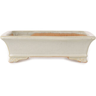  Shibakatsu (Katsuichi Shibata) 193 mm rectangular off-white bonsai pot by Shibakatsu, Tokoname, Japan
