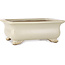 Pot à bonsaï rectangulaire blanc cassé de Shibakatsu - 190 x 142 x 70 mm
