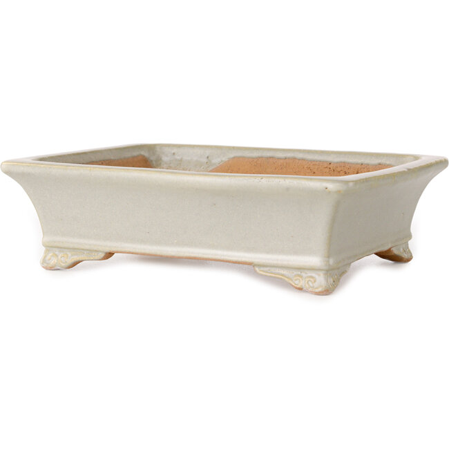 Vaso bonsai rettangolare bianco sporco di Shibakatsu - 193 x 149 x 55 mm
