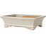 Pot à bonsaï rectangulaire blanc cassé de Shibakatsu - 193 x 149 x 55 mm