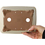 Pot à bonsaï rectangulaire blanc cassé de Shibakatsu - 190 x 142 x 70 mm