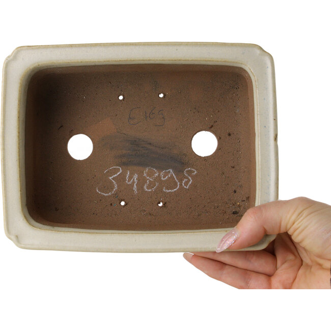 Maceta rectangular para bonsái de color blanco roto de Shibakatsu - 190 x 142 x 70 mm