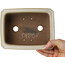Pot à bonsaï rectangulaire blanc cassé de Shibakatsu - 190 x 142 x 70 mm