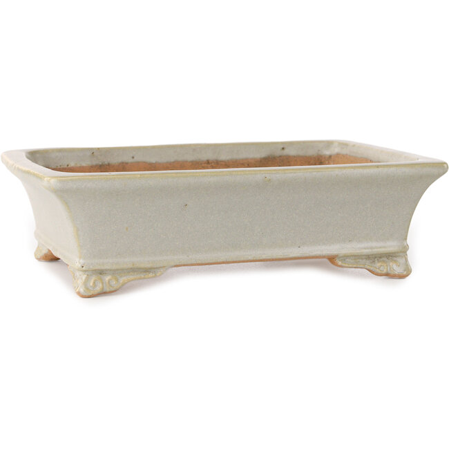Vaso bonsai rettangolare bianco sporco di Shibakatsu - 193 x 149 x 55 mm