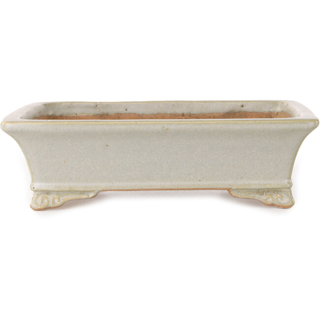 Vaso bonsai rettangolare bianco sporco di Shibakatsu - 193 x 149 x 55 mm