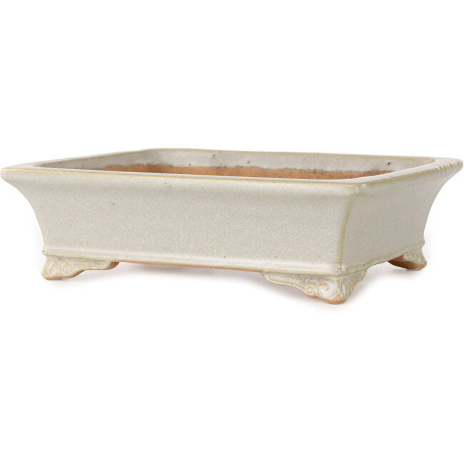 Pot à bonsaï rectangulaire blanc cassé de Shibakatsu - 193 x 149 x 55 mm