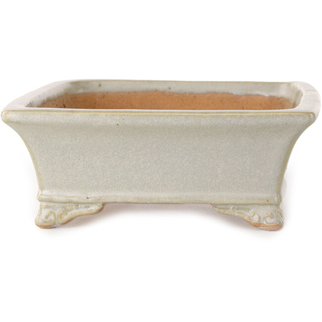 Vaso bonsai rettangolare bianco sporco di Shibakatsu - 193 x 149 x 55 mm