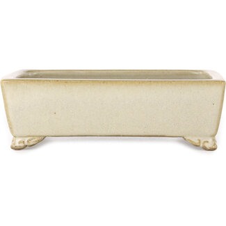  Shibakatsu (Katsuichi Shibata) 155 mm rectangular off-white bonsai pot by Shibakatsu, Tokoname, Japan