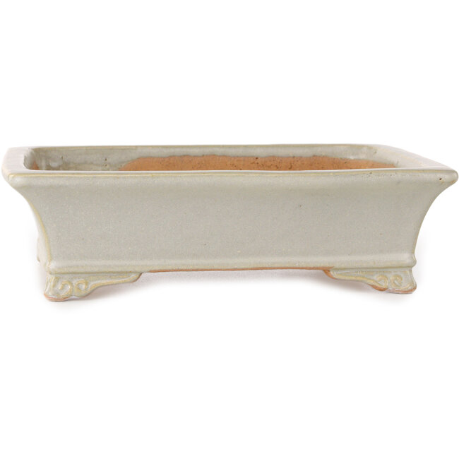 Pot à bonsaï rectangulaire blanc cassé de Shibakatsu - 193 x 149 x 55 mm