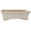 Maceta rectangular para bonsái de color blanco roto de Shibakatsu - 193 x 149 x 55 mm