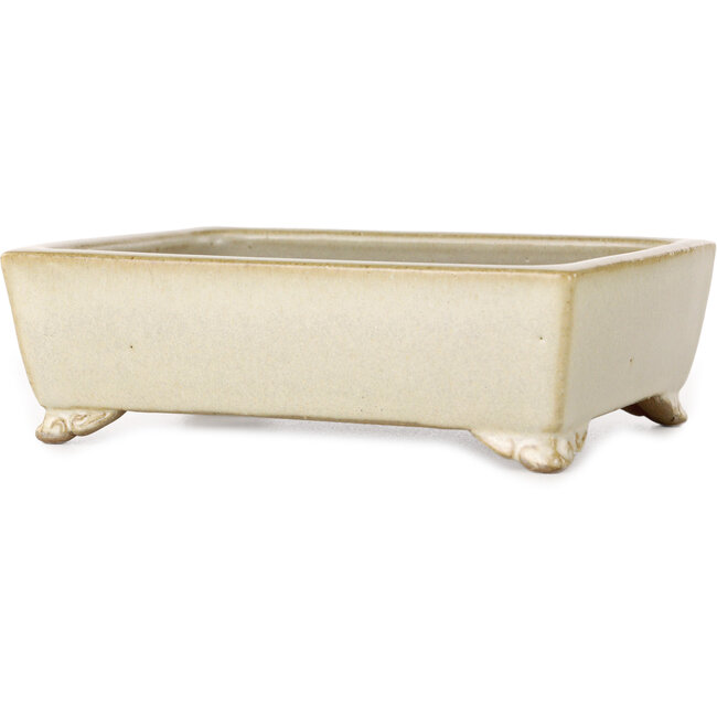 Pot à bonsaï rectangulaire blanc cassé de Shibakatsu - 155 x 117 x 47 mm
