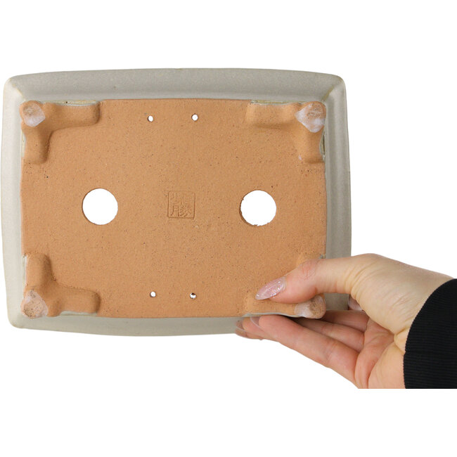 Pot à bonsaï rectangulaire blanc cassé de Shibakatsu - 193 x 149 x 55 mm