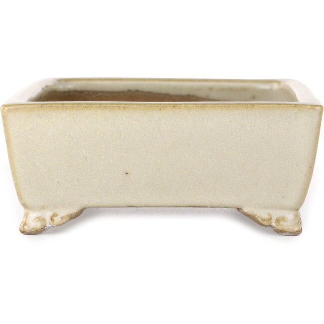 Maceta rectangular para bonsái de color blanco roto de Shibakatsu - 155 x 117 x 47 mm