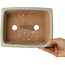 Pot à bonsaï rectangulaire blanc cassé de Shibakatsu - 193 x 149 x 55 mm