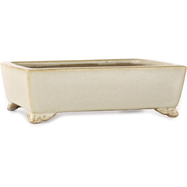 Pot à bonsaï rectangulaire blanc cassé de Shibakatsu - 155 x 117 x 47 mm