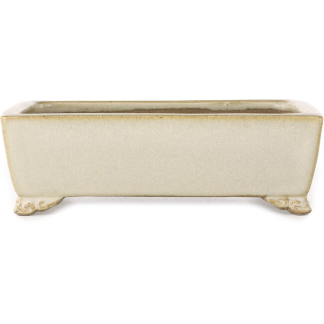 Rectangular off-white bonsai pot by Shibakatsu - 155 x 117 x 47 mm