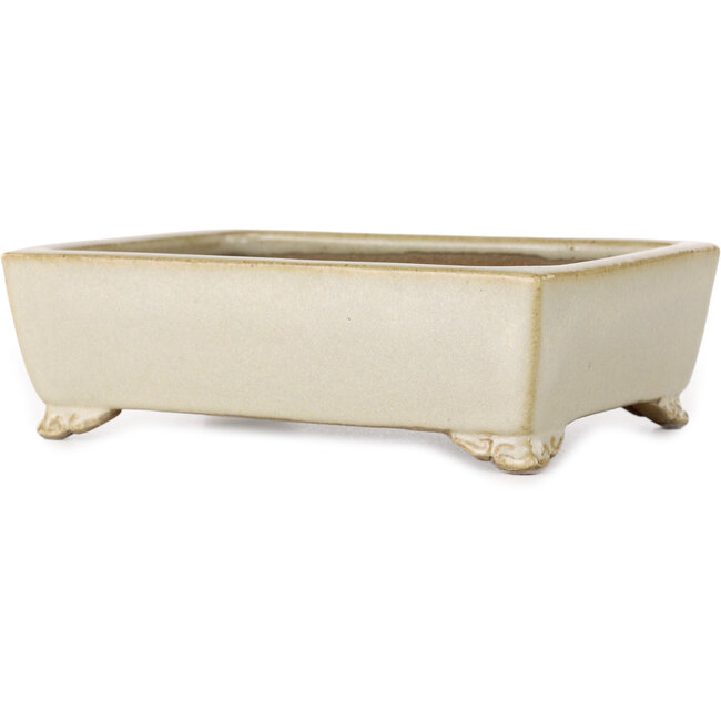 Maceta rectangular para bonsái de color blanco roto de Shibakatsu - 155 x 117 x 47 mm