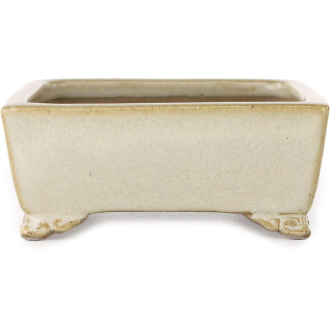 Maceta rectangular para bonsái de color blanco roto de Shibakatsu - 155 x 117 x 47 mm