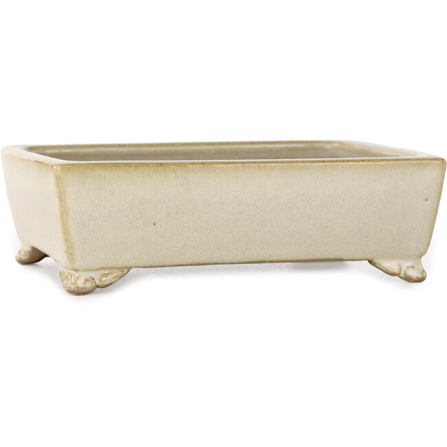 Pot à bonsaï rectangulaire blanc cassé de Shibakatsu - 155 x 117 x 47 mm