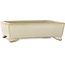 Pot à bonsaï rectangulaire blanc cassé de Shibakatsu - 155 x 117 x 47 mm