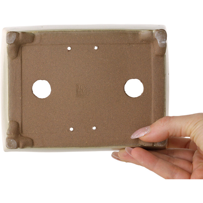 Maceta rectangular para bonsái de color blanco roto de Shibakatsu - 155 x 117 x 47 mm