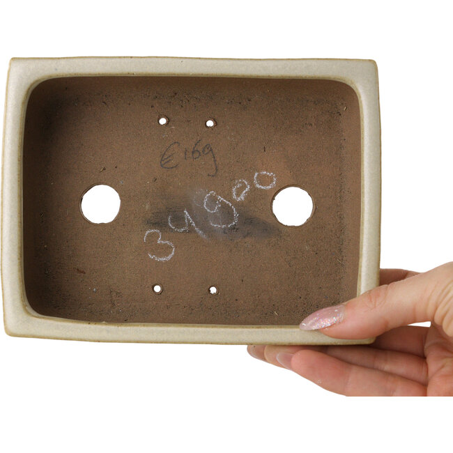 Maceta rectangular para bonsái de color blanco roto de Shibakatsu - 155 x 117 x 47 mm