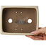 Pot à bonsaï rectangulaire blanc cassé de Shibakatsu - 155 x 117 x 47 mm
