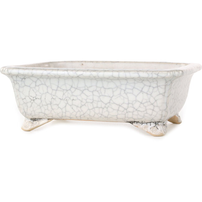 Rechthoekige witte craquelé bonsaipot van Shibakatsu - 190 x 157 x 63 mm