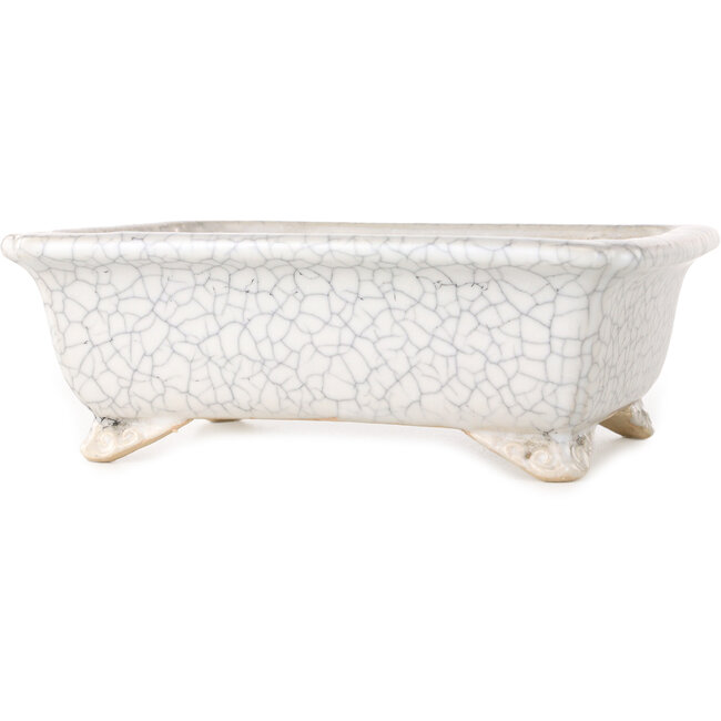 Pot à bonsaï rectangulaire craquelé blanc par Shibakatsu - 190 x 157 x 63 mm