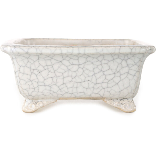 Rechteckige weiße Craquelé-Bonsaischale von Shibakatsu – 190 x 157 x 63 mm