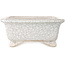 Rectangular white craquelé bonsai pot by Shibakatsu - 190 x 157 x 63 mm