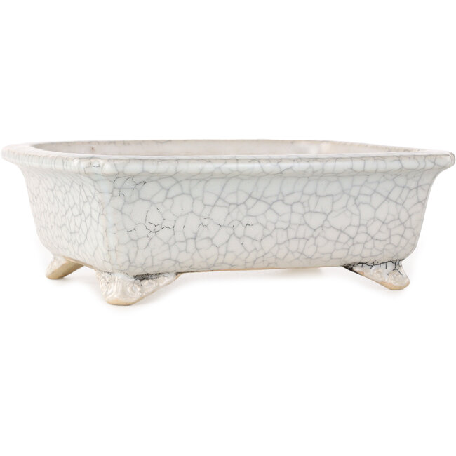 Vaso bonsai rettangolare bianco craquelé di Shibakatsu - 190 x 157 x 63 mm