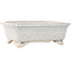 Pot à bonsaï rectangulaire craquelé blanc par Shibakatsu - 190 x 157 x 63 mm
