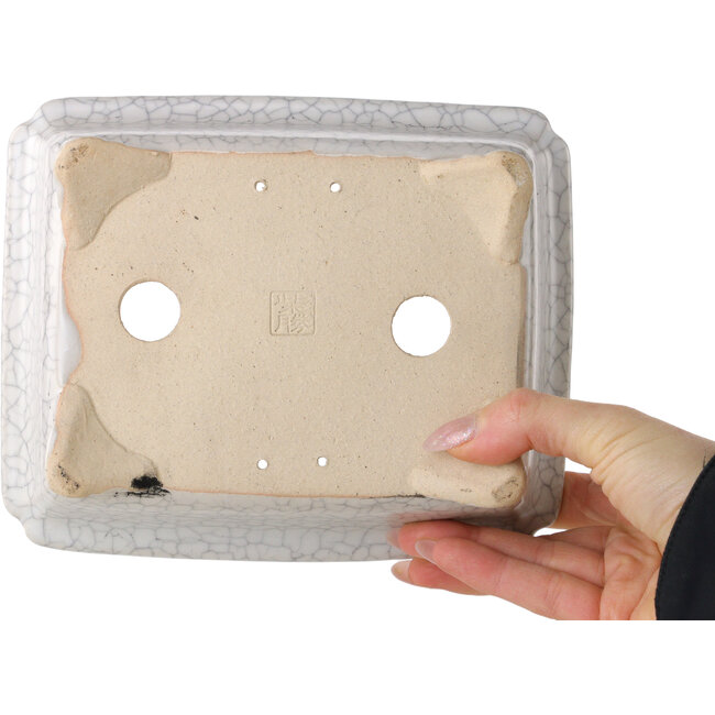 Maceta rectangular para bonsái craquelé blanca de Shibakatsu - 190 x 157 x 63 mm