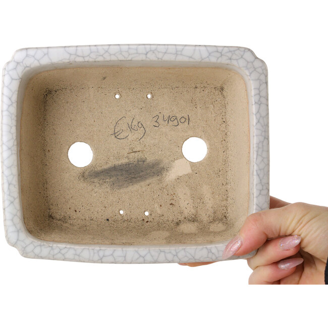Pot à bonsaï rectangulaire craquelé blanc par Shibakatsu - 190 x 157 x 63 mm