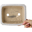 Pot à bonsaï rectangulaire craquelé blanc par Shibakatsu - 190 x 157 x 63 mm