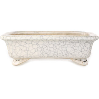  Shibakatsu (Katsuichi Shibata) 192 mm rectangular white craquelé bonsai pot by Shibakatsu, Tokoname, Japan