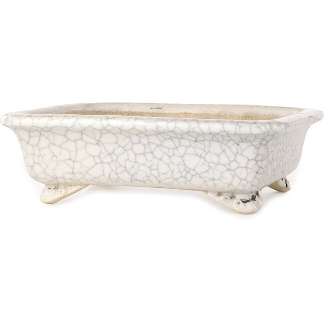 Maceta rectangular para bonsái craquelé blanca de Shibakatsu - 192 x 157 x 60 mm