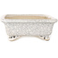 Pot à bonsaï rectangulaire craquelé blanc par Shibakatsu - 192 x 157 x 60 mm
