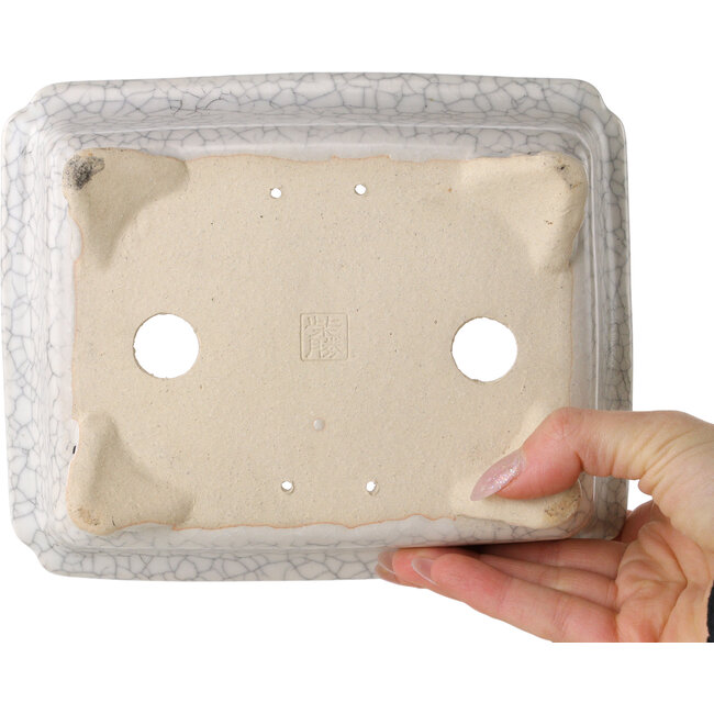 Rectangular white craquelé bonsai pot by Shibakatsu - 192 x 157 x 60 mm