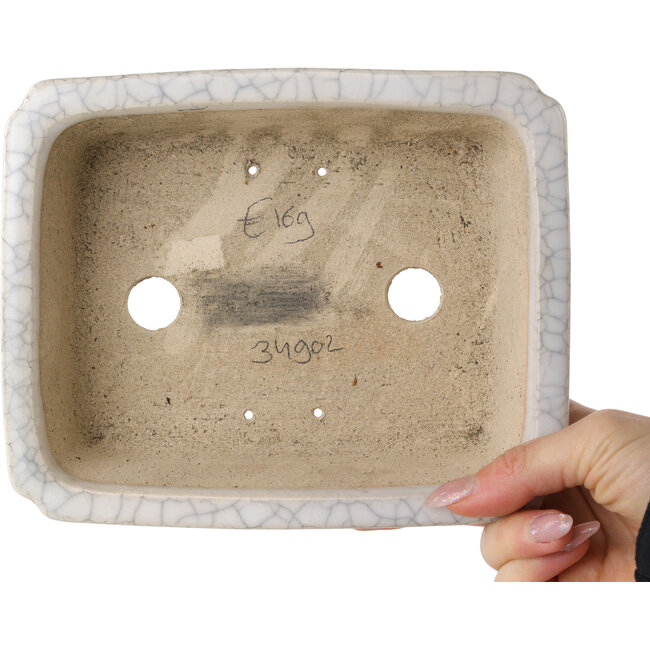 Vaso bonsai rettangolare bianco craquelé di Shibakatsu - 192 x 157 x 60 mm