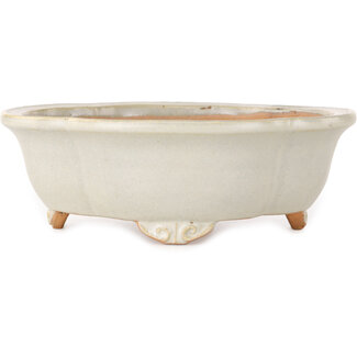  Shibakatsu (Katsuichi Shibata) Maceta para bonsái mokko color hueso de 182 mm de Shibakatsu, Tokoname, Japón