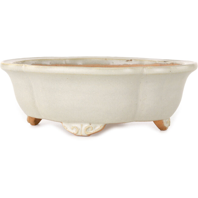 Mokko off-white bonsai pot by Shibakatsu - 182 x 158 x 63 mm