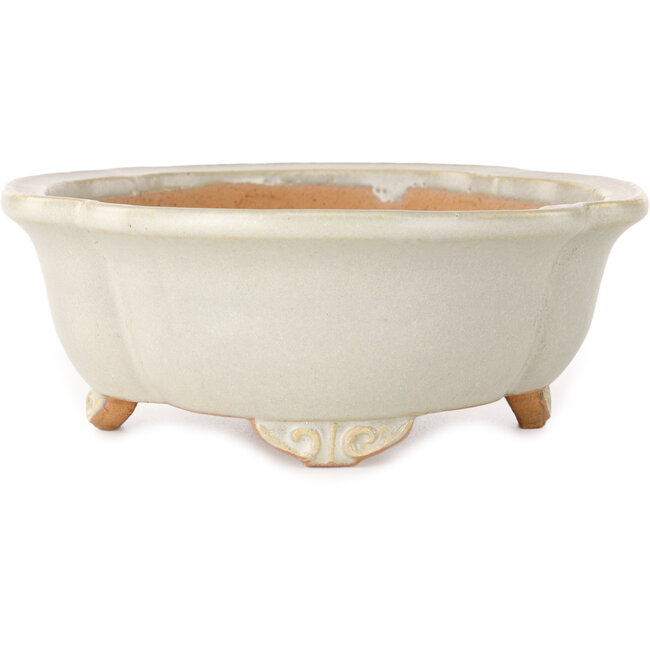 Pot à bonsaï Mokko blanc cassé de Shibakatsu - 182 x 158 x 63 mm