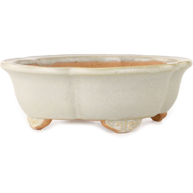 Mokko off-white bonsai pot by Shibakatsu - 182 x 158 x 63 mm