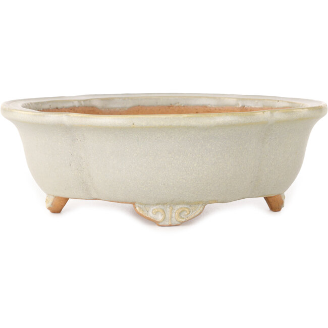 Pot à bonsaï Mokko blanc cassé de Shibakatsu - 182 x 158 x 63 mm